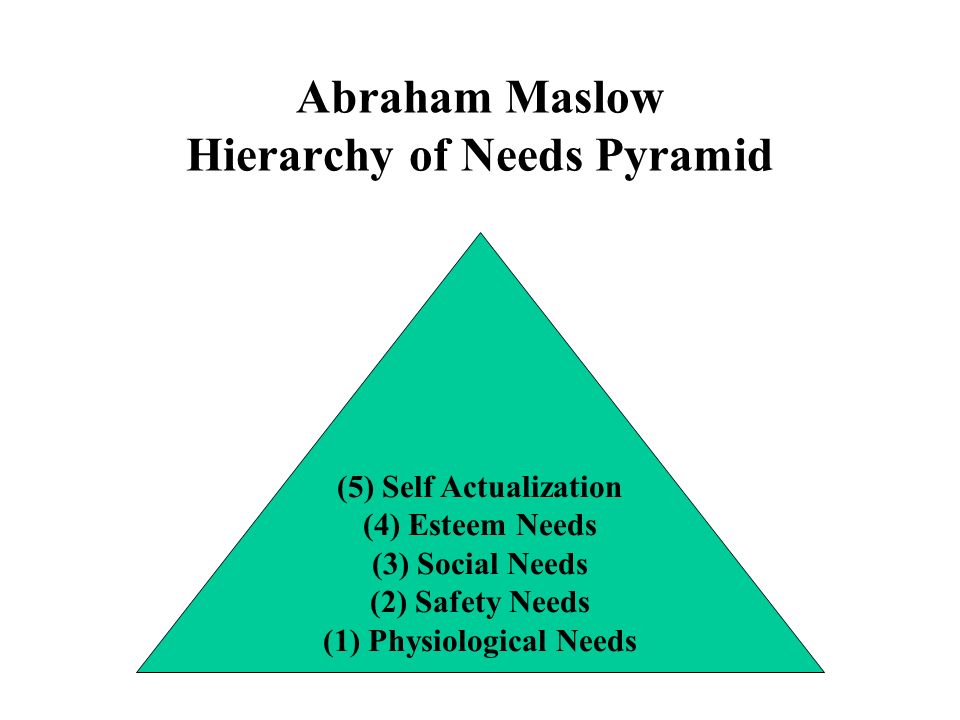Maslows Hierarchy Of Needs Essays (Examples)